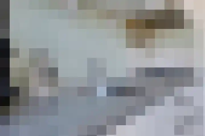 Hortensiastraat 3 Bovensmilde thumbnail 8