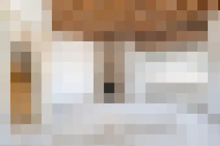 Hortensiastraat 33 Hilversum thumbnail 18