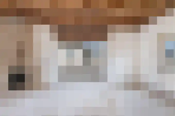 Hortensiastraat 33 Hilversum thumbnail 19