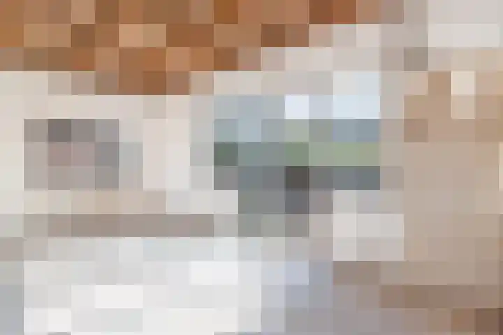 Hortensiastraat 33 Hilversum thumbnail 24