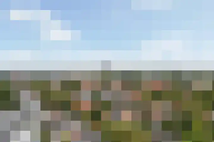 Hortensiastraat 33 Hilversum thumbnail 37