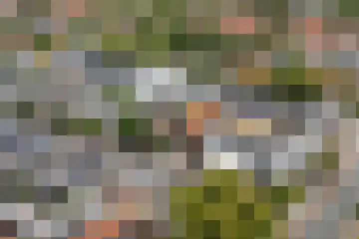 Hortensiastraat 33 Hilversum thumbnail 38