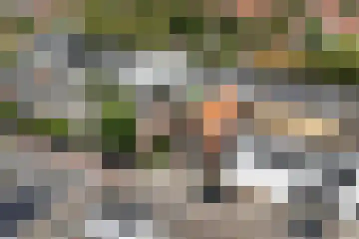 Hortensiastraat 33 Hilversum thumbnail 40