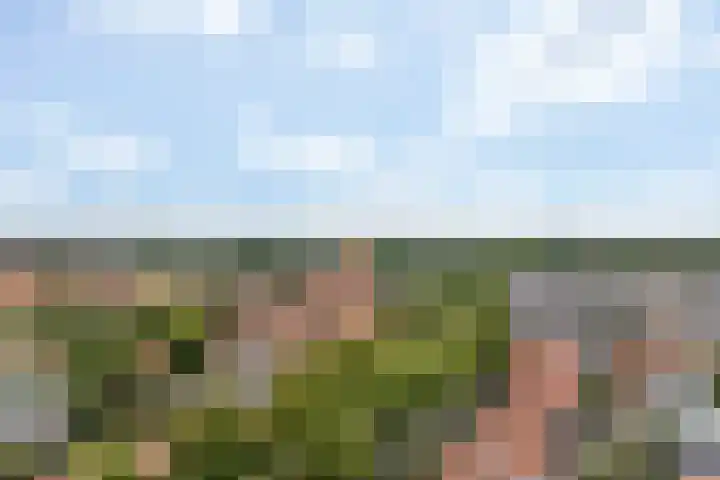Hortensiastraat 33 Hilversum thumbnail 41