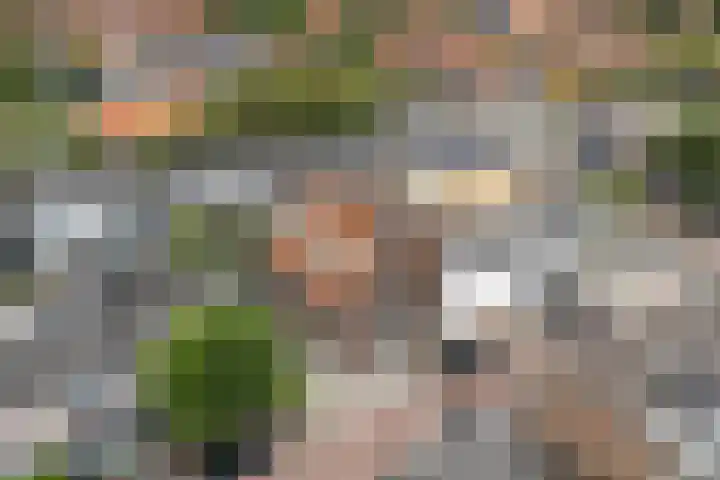 Hortensiastraat 33 Hilversum thumbnail 43