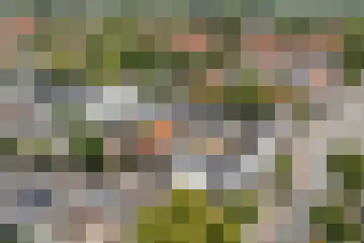 Hortensiastraat 33 Hilversum thumbnail 46