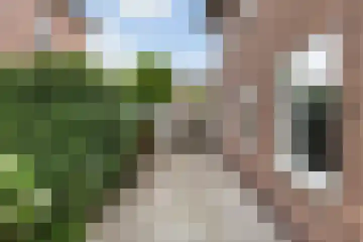 Hortensiastraat 33 Hilversum thumbnail 7