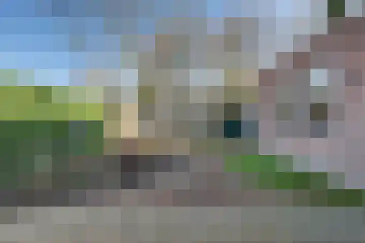 Hortensiastraat 34 's-Gravenpolder thumbnail 35