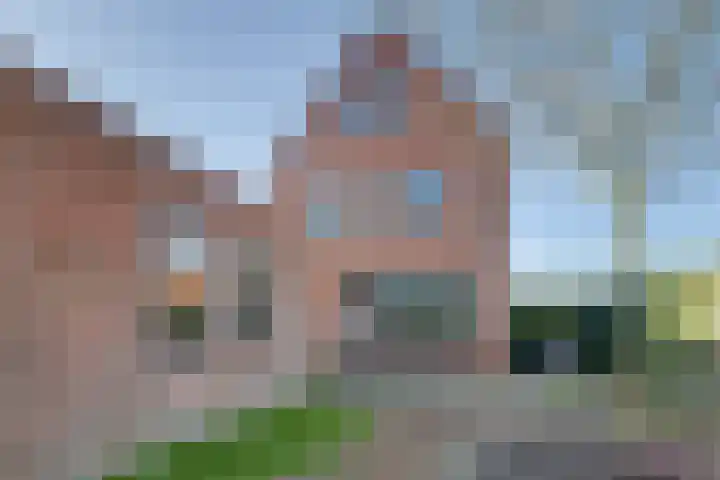 Hortensiastraat 34 's-Gravenpolder thumbnail 38