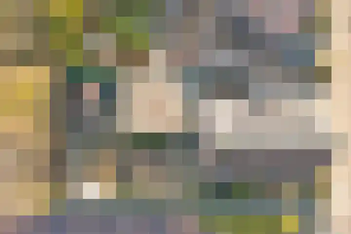 Hortensiastraat 34 's-Gravenpolder thumbnail 39