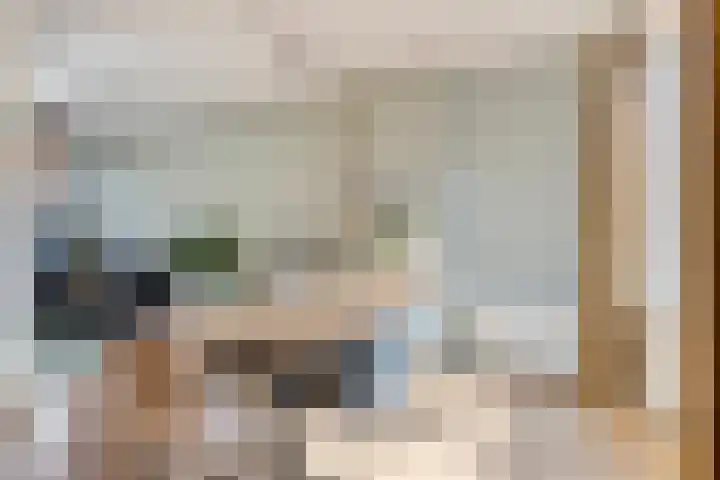 Hortensiastraat 35 Eindhoven thumbnail 11