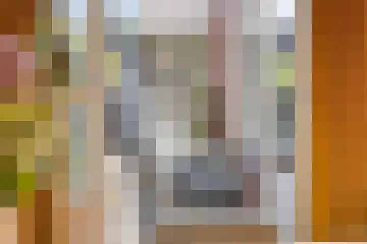 Hortensiastraat 35 Eindhoven thumbnail 12