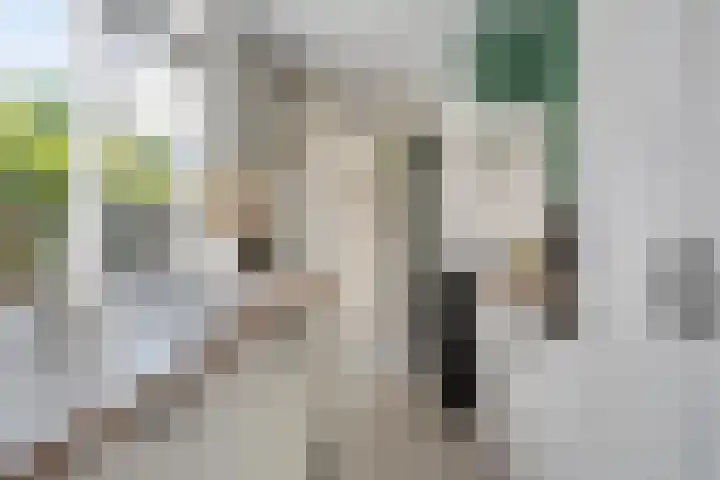 Hortensiastraat 35 Eindhoven thumbnail 14