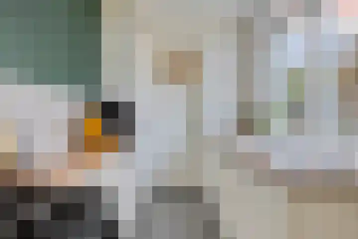 Hortensiastraat 35 Eindhoven thumbnail 15