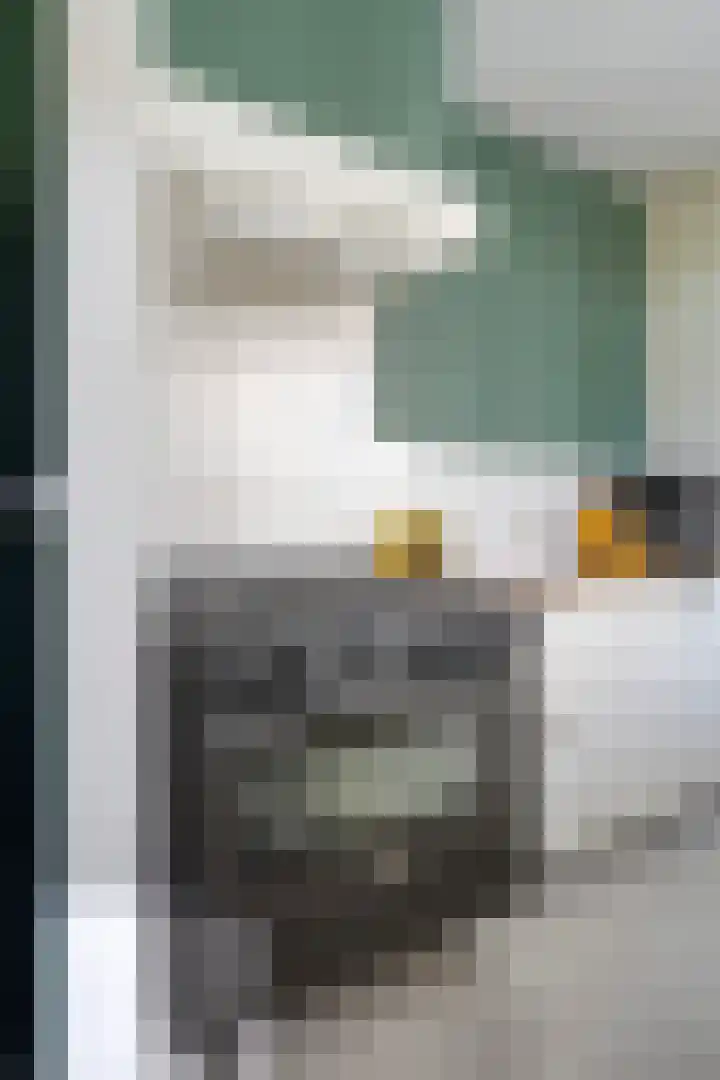 Hortensiastraat 35 Eindhoven thumbnail 16
