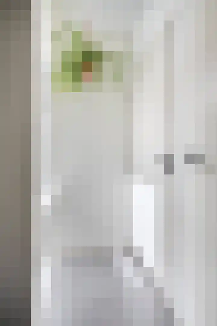 Hortensiastraat 35 Eindhoven thumbnail 18