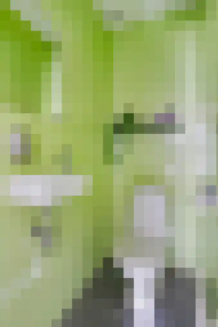 Hortensiastraat 35 Eindhoven thumbnail 19