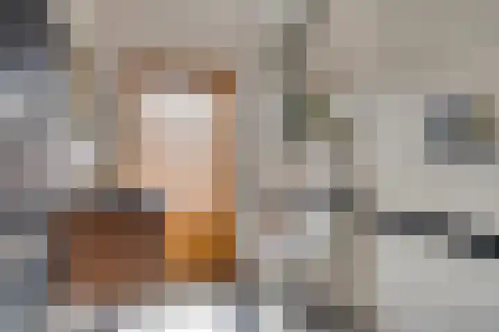 Hortensiastraat 35 Eindhoven thumbnail 24