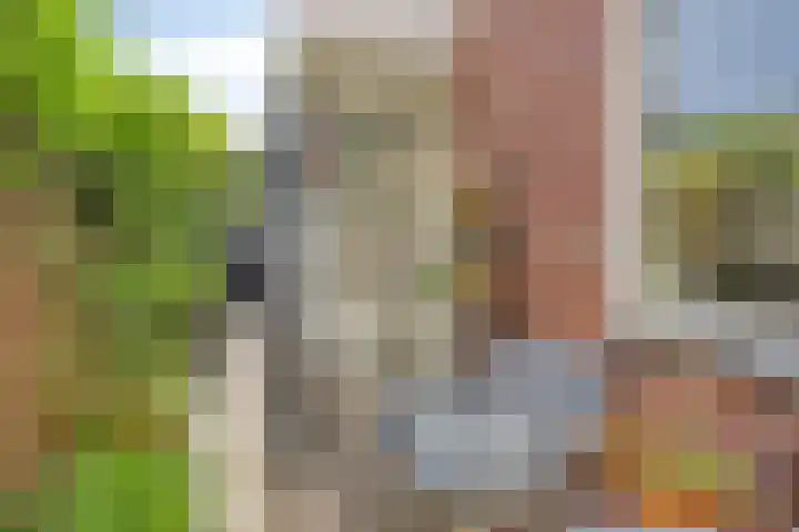 Hortensiastraat 35 Eindhoven thumbnail 30