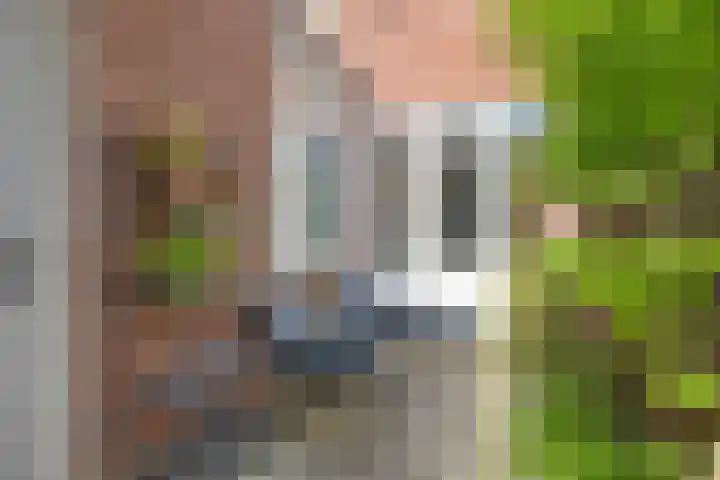 Hortensiastraat 35 Eindhoven thumbnail 31