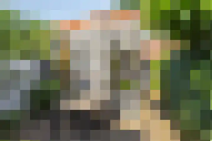 Hortensiastraat 35 Eindhoven thumbnail 33