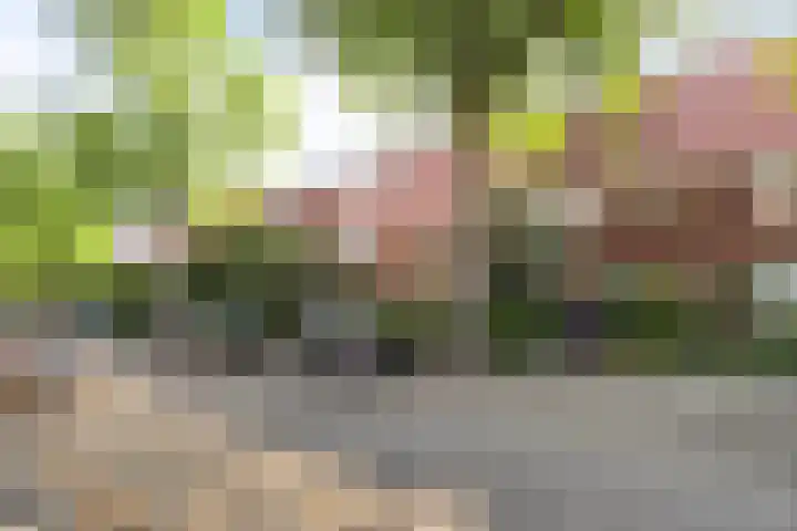 Hortensiastraat 35 Eindhoven thumbnail 34