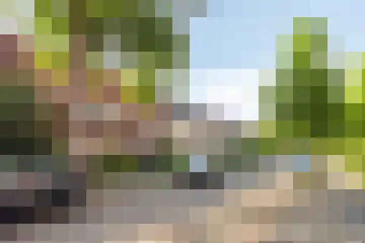 Hortensiastraat 35 Eindhoven thumbnail 35