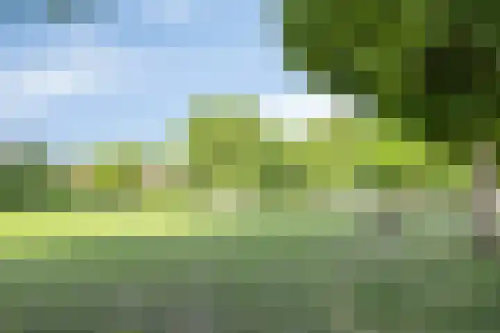 Hortensiastraat 35 Eindhoven thumbnail 36