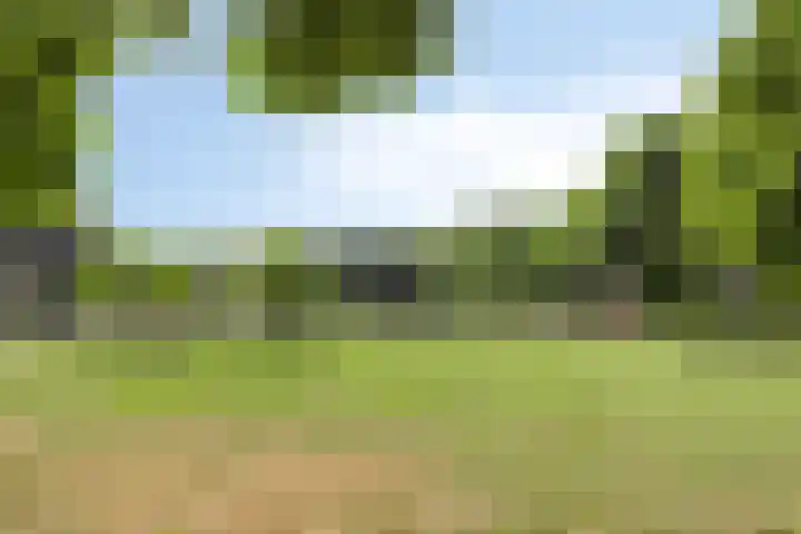 Hortensiastraat 35 Eindhoven thumbnail 37