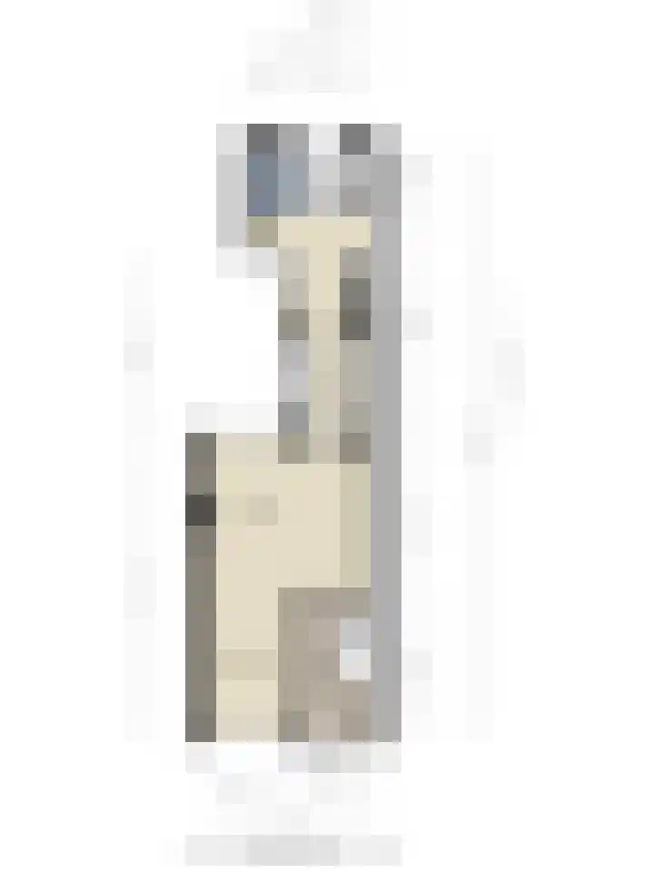 Hortensiastraat 35 Eindhoven thumbnail 38