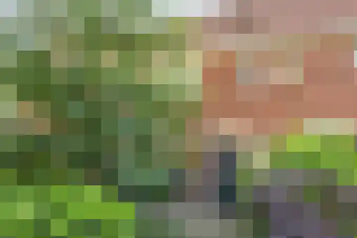 Hortensiastraat 35 Eindhoven thumbnail 4
