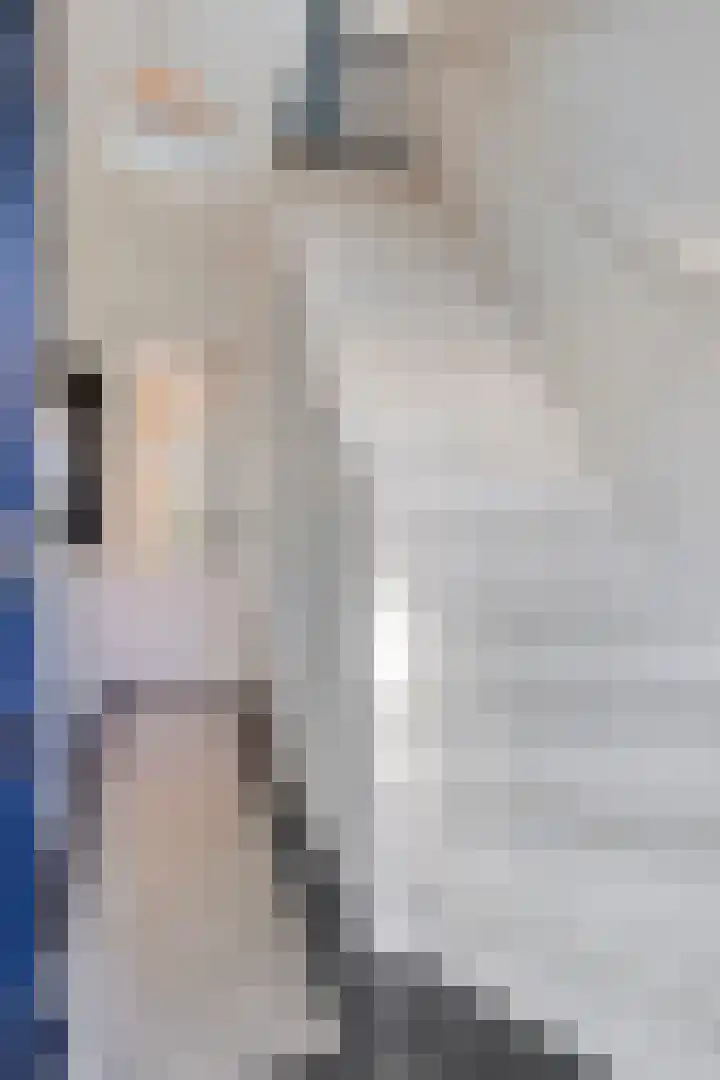 Hortensiastraat 35 Eindhoven thumbnail 5