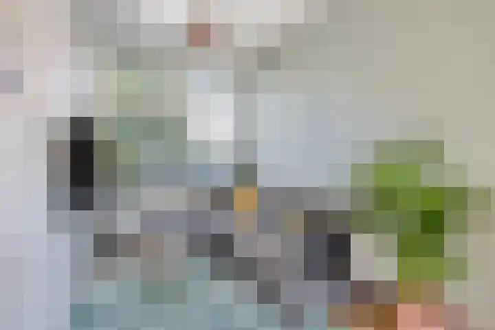 Hortensiastraat 35 Eindhoven thumbnail 7