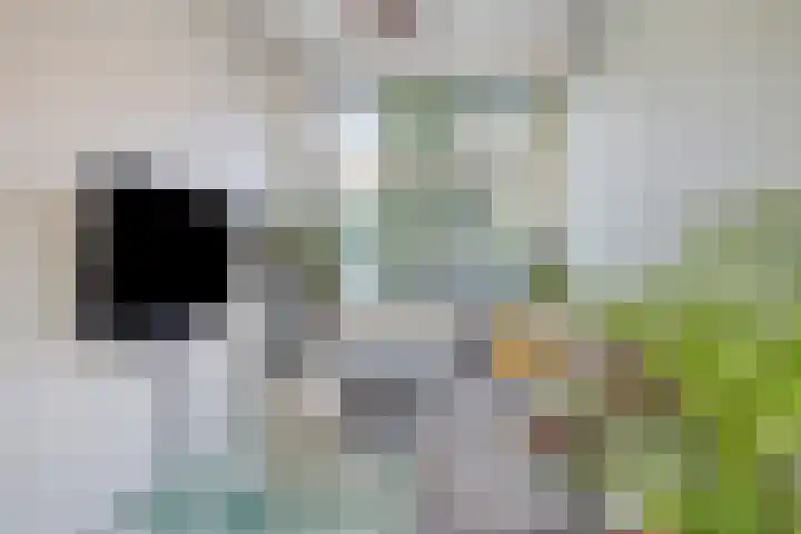 Hortensiastraat 35 Eindhoven thumbnail 8