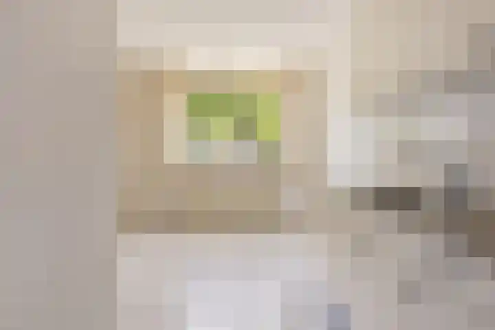 Hortensiastraat 35 Rotterdam thumbnail 11