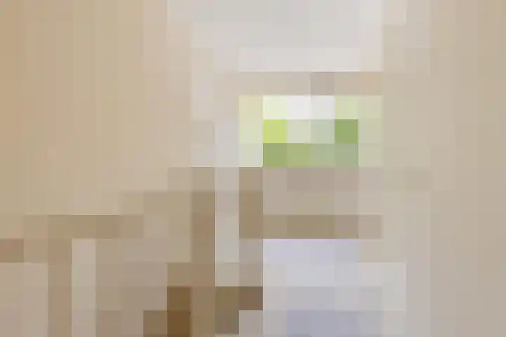 Hortensiastraat 35 Rotterdam thumbnail 15