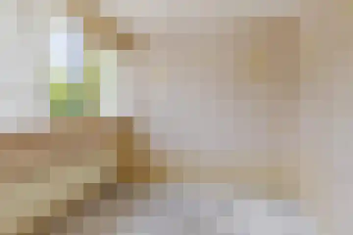 Hortensiastraat 35 Rotterdam thumbnail 17