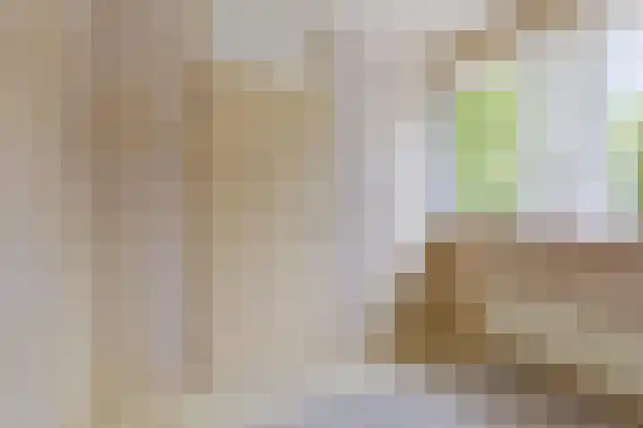 Hortensiastraat 35 Rotterdam thumbnail 18