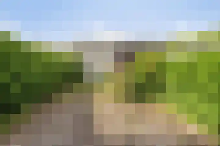 Hortensiastraat 35 Rotterdam thumbnail 27