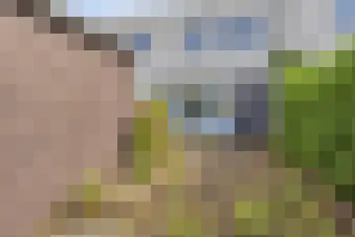 Hortensiastraat 35 Rotterdam thumbnail 28