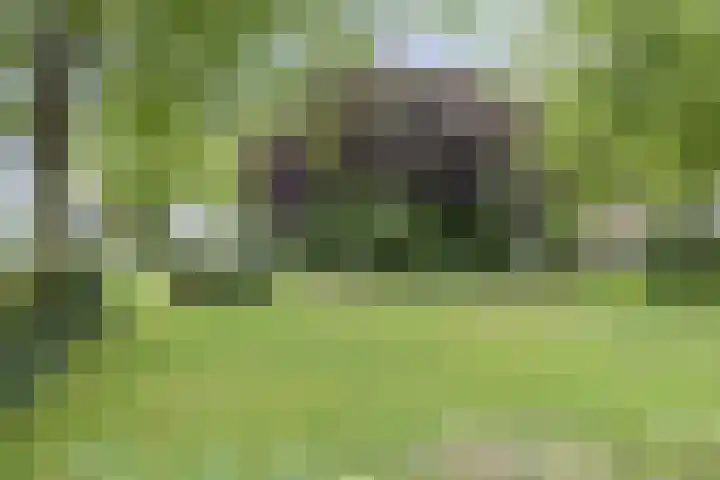 Hortensiastraat 35 Rotterdam thumbnail 30