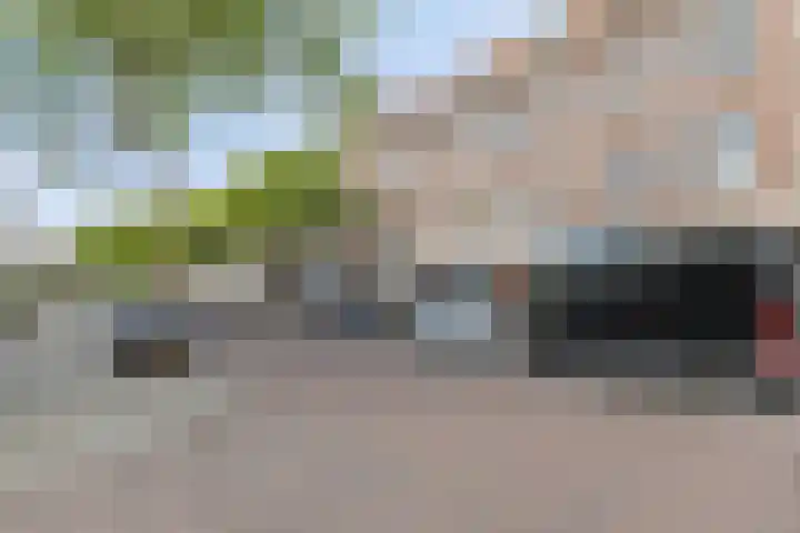 Hortensiastraat 35 Rotterdam thumbnail 31
