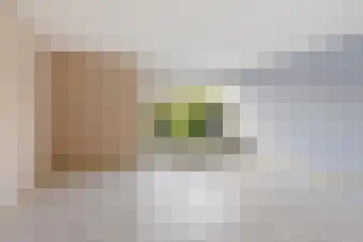 Hortensiastraat 35 Rotterdam thumbnail 7