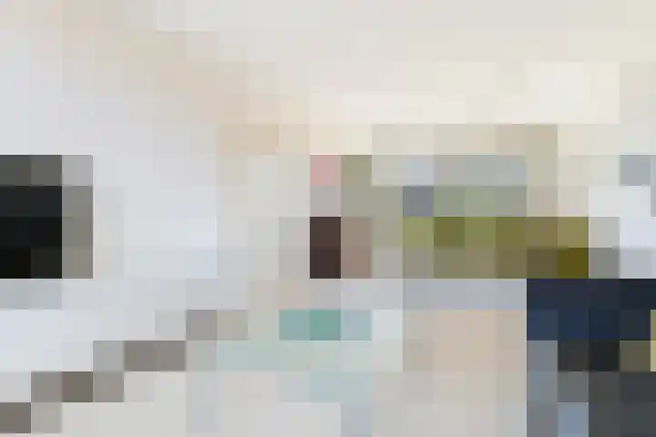 Hortensiastraat 36 Dordrecht thumbnail 10