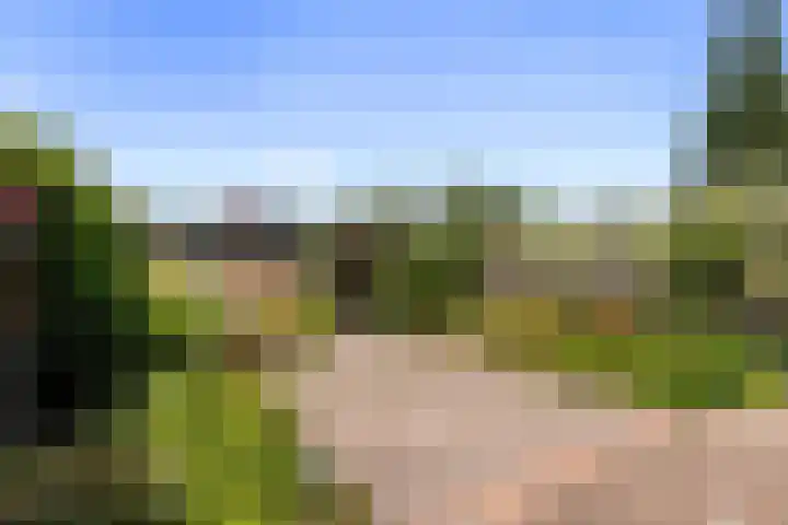 Hortensiastraat 36 Dordrecht thumbnail 31