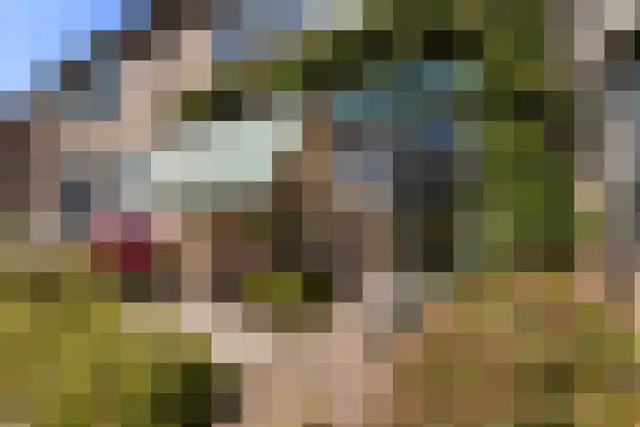 Hortensiastraat 36 Dordrecht thumbnail 4