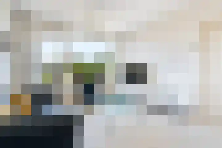 Hortensiastraat 36 Dordrecht thumbnail 8