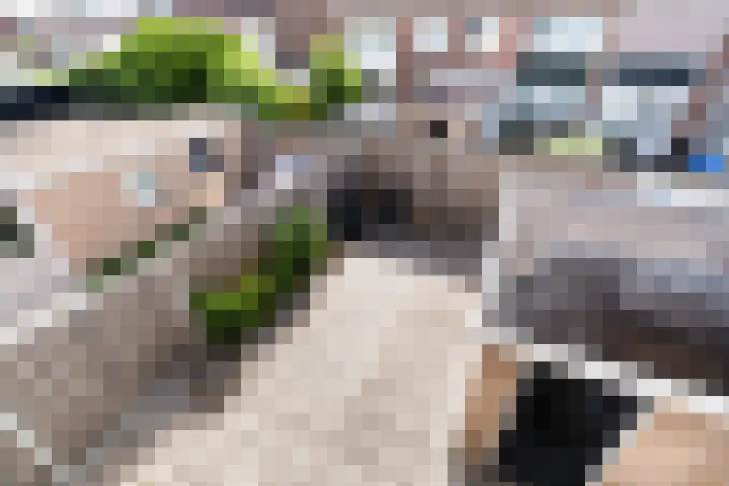 Hortensiastraat 36 Monster thumbnail 46