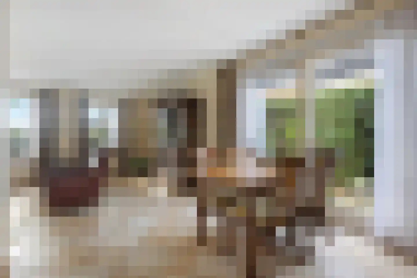 Hortensiastraat 37 Ederveen thumbnail 11