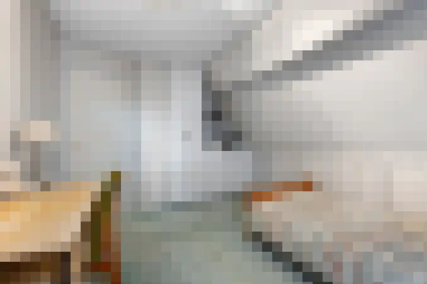 Hortensiastraat 37 Ederveen thumbnail 27